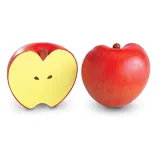 learning-resources-apple-fractions-wiek-dziecka-10-lat