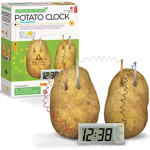 4m-green-science-potato-clock