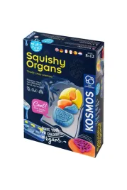 thames-kosmos-7616816-squishy-organs-make-your-own-human-mehrfarbig-large