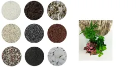 zestaw-startowy-las-w-szkle-fittoniapalmabluszcz-prezent-terrarium-roslinne-mini-ogrod-dekoracyjny-do-samodzielnego-wykonania