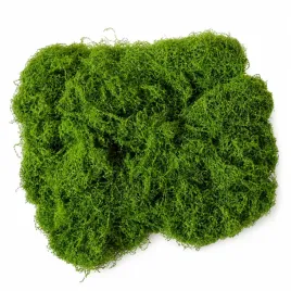 imitacja-mchu-chrobotka-sztuczny-mech-dekoracyjny-zielony-do-stroikow-diy-porost-do-kompozycji-florystycznych-terrarium-i-rekodziela-100-g