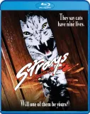 strays-blu-ray
