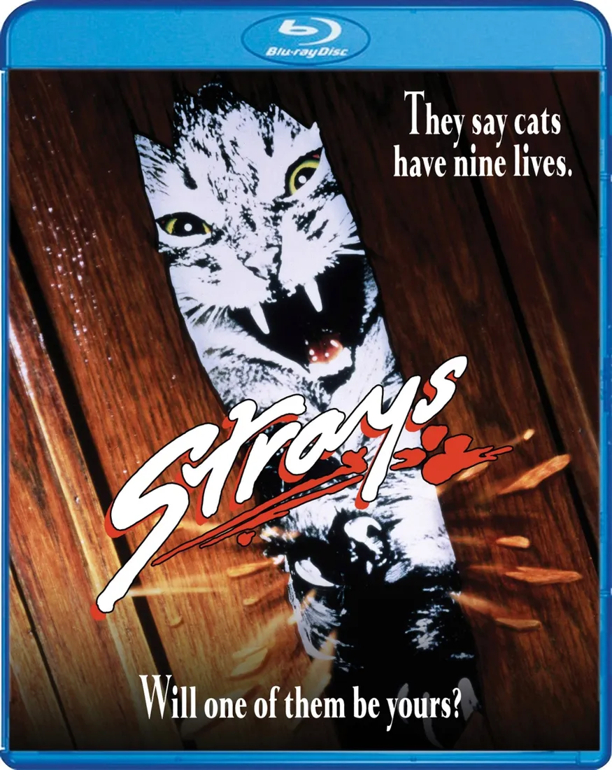 strays-blu-ray