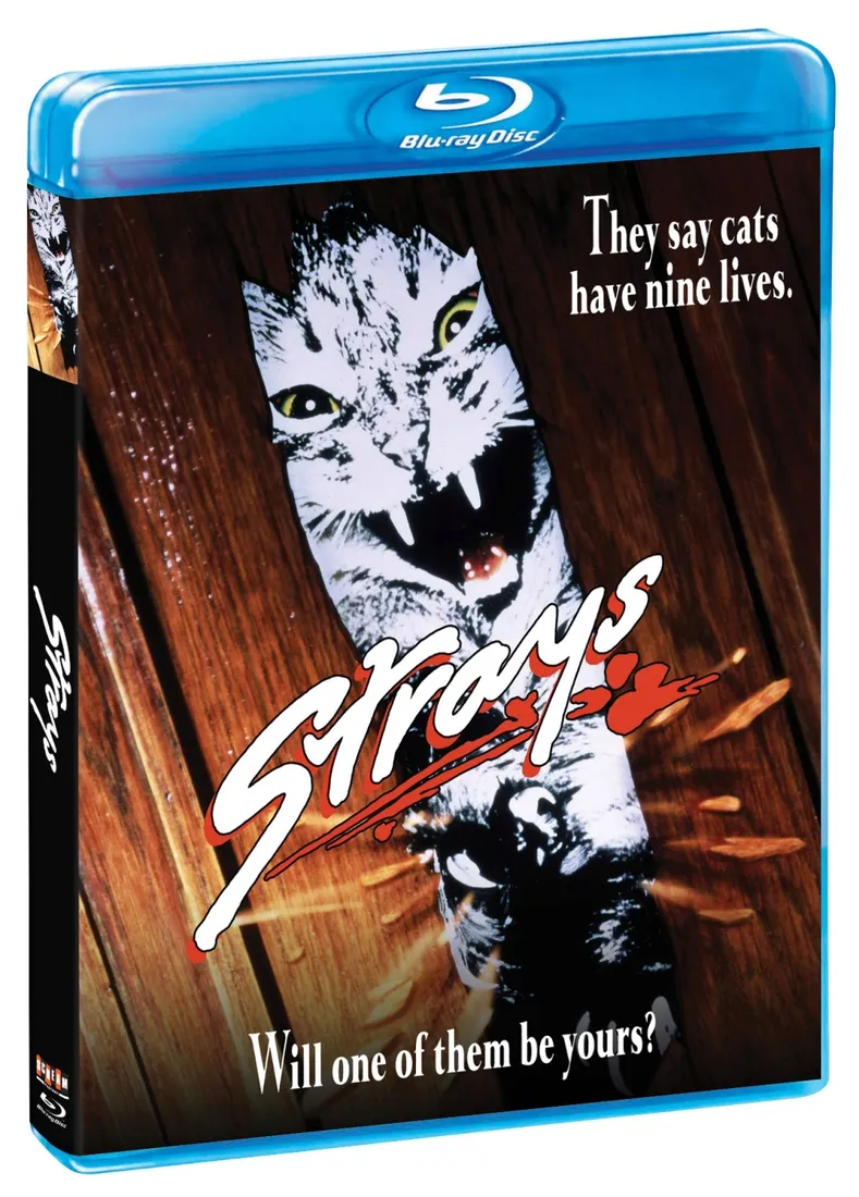 strays-blu-ray