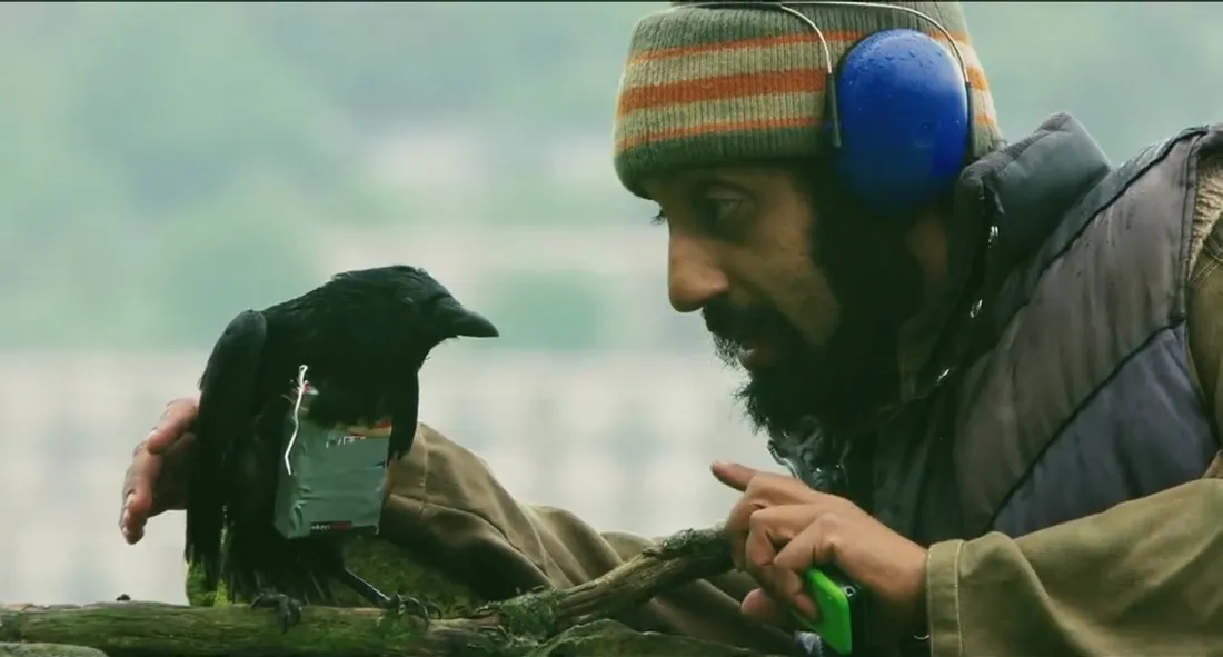 four-lions