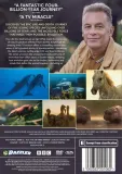 evolution-dvd-stan-nowy