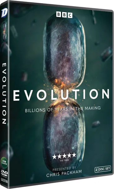 evolution-dvd-rozmiar-a4