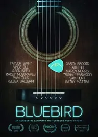 bluebird-an-accidental-landmark-that-changed-history-blu-ray-ntsc