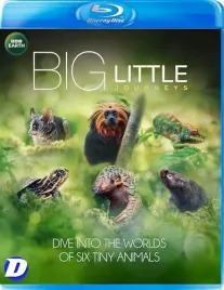 big-little-journeys-blu-ray