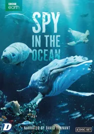 spy-in-the-ocean