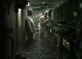 chernobyl-nosnik-plyta-dvd