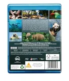 asia-blu-ray-stan-nowy