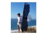 revolution-eagle-4-line-stunt-kite-stan-nowy