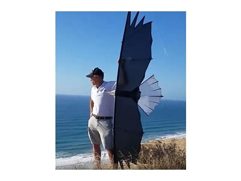 revolution-eagle-4-line-stunt-kite