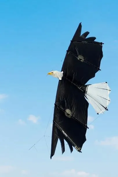 revolution-eagle-4-line-stunt-kite-marka-inna