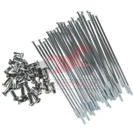 szprychy-mz-etz-ts-148mm-kpl-36szt-buchel