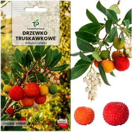 drzewko-truskawkowe-nasiona-mrozoodporne-14-arbutus-unedo-10-nasion