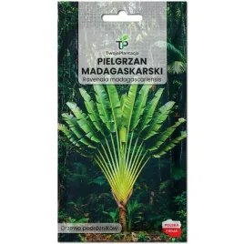 ravenala-madagascariensis-nasiona-pielgrzan-madagaskarski-do-domu-5-sztuk