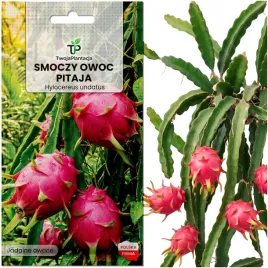 pitaja-czerwona-nasiona-smoczy-owoc-kaktus-bardzo-smaczne-owoce-20-sztuk