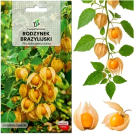 rodzynek-brazylijski-nasiona-miechunka-peruwianska-physalis-peruviana