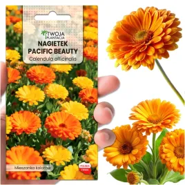 nagietek-lekarski-pacific-beauty-mix-nasiona-ziol-laka-kwietna-do-ogrodu
