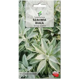 szalwia-biala-salvia-apiana-na-kadzidlo-opakowenie-xxl-30szt-nasiona