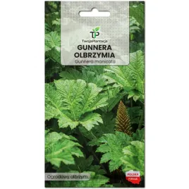 gunnera-olbrzymia-nasiona-gunnera-manicata-do-uprawy-w-ogrodzie-5-nasion