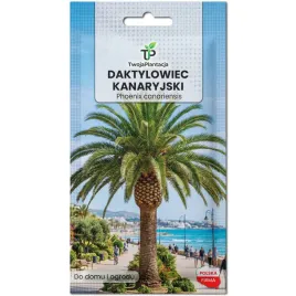 daktylowiec-kanaryjski-phoenix-canariensis-palma-krolewska-nasiona-5-nasion