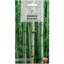 bambus-zelazny-nasiona-dendrocalamus-strictus-10-swiezych-nasion