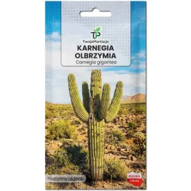 karnegia-olbrzymia-nasiona-carnegiea-gigantea-kaktus-mrozoodporny-10-nasion