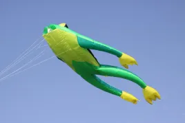 wolkensturmer-fritz-the-frog-single-line-kite-without-green-210-x-140-cm