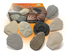 yellow-door-let-s-investigate-fossils-or-early-educational-learning-orstem
