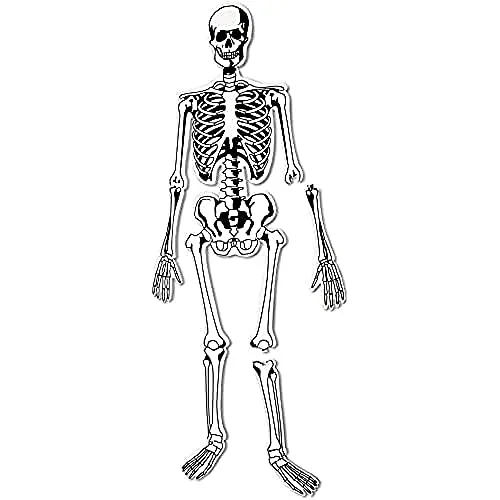 learning-resources-skeleton-foam-floor-puzzle-stan-nowy