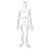 learning-resources-skeleton-foam-floor-puzzle-stan-nowy