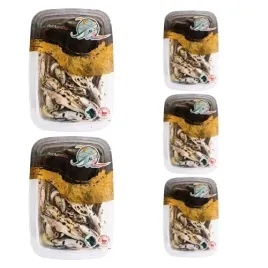 anchois-filety-z-sardeli-marynowane-w-oleju-alice-5-x-150g