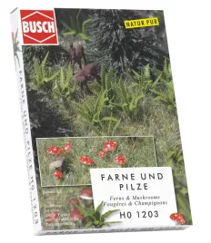fern-and-mushrooms
