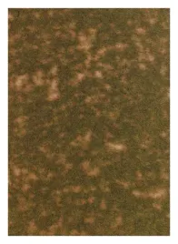 late-summer-grass-fibre-mat-297x210mm