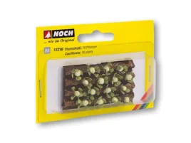 noch-cauliflower-16-plants-3-x-6-cm-coloured