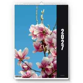 kalendarz-scienny-2027-magnolia-a3-zaznaczone-swieta-imieniny