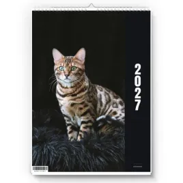 kalendarz-scienny-2027-cats-01-a3-zaznaczone-swieta-imieniny