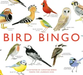 laurence-king-bird-bingo-magmamulticolor-9-55-x-2-7-x-10-5