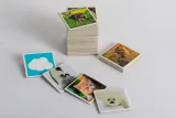tierkinder-memo-white-maksymalna-liczba-graczy-2