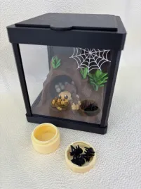 pajak-tarantos-terrarium-z-pajakiem-tarantosem-wyposazenie