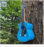 gitara-domek-karmnik-stan-nowy
