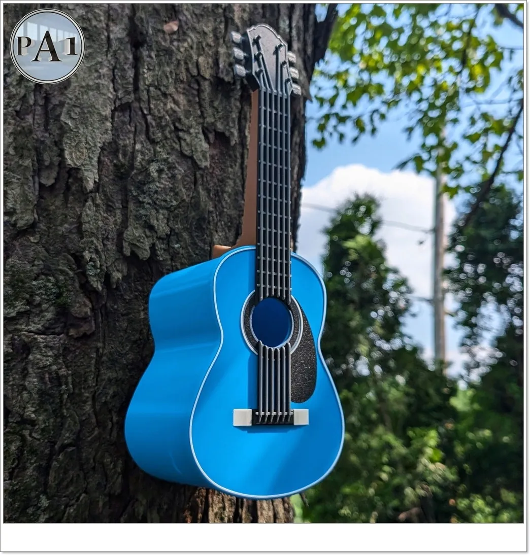 gitara-domek-karmnik