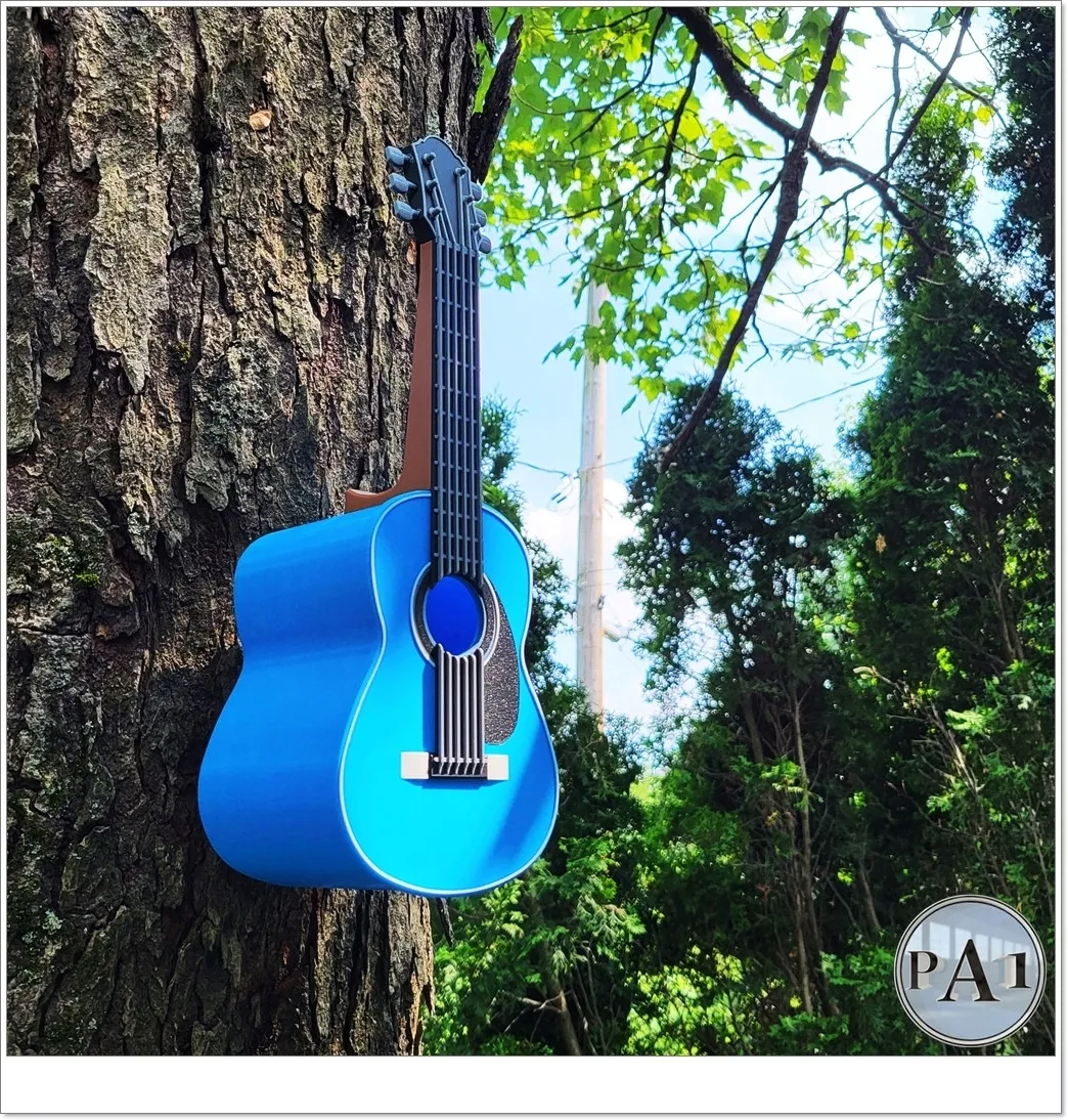gitara-domek-karmnik-stan-nowy