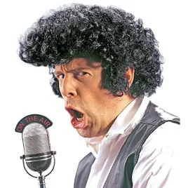 rock-n-roll-black-wig-for-hair-accessory-fancy-dress