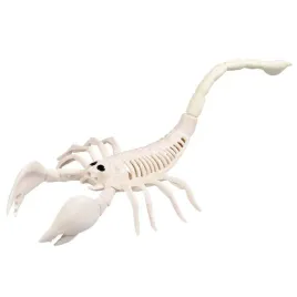 boland-scorpion-skeleton-decoration-31-cm-beige-and-black