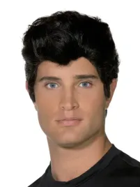 smiffys-officially-licensed-grease-danny-quiff-wig-black-adults-one-size