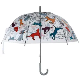 parasolka-transparentna-its-raining